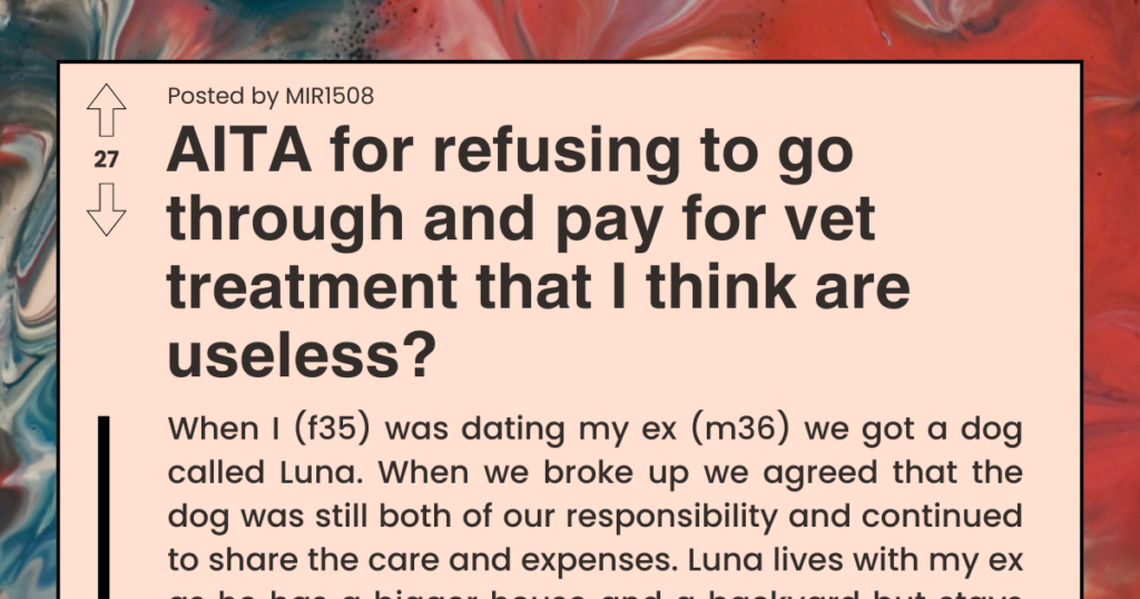 Is She Wrong? Woman Declines to Pay for Treatment That Could Add Months to Her Dog’s Life