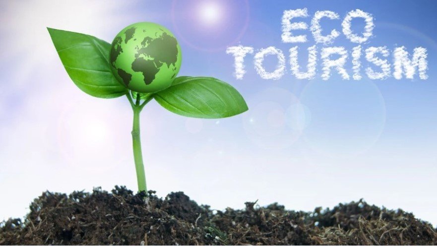 Eco-Tourism: How to Travel Responsibly and Protect the Planet